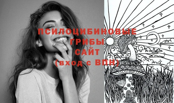 молекула духа Нея