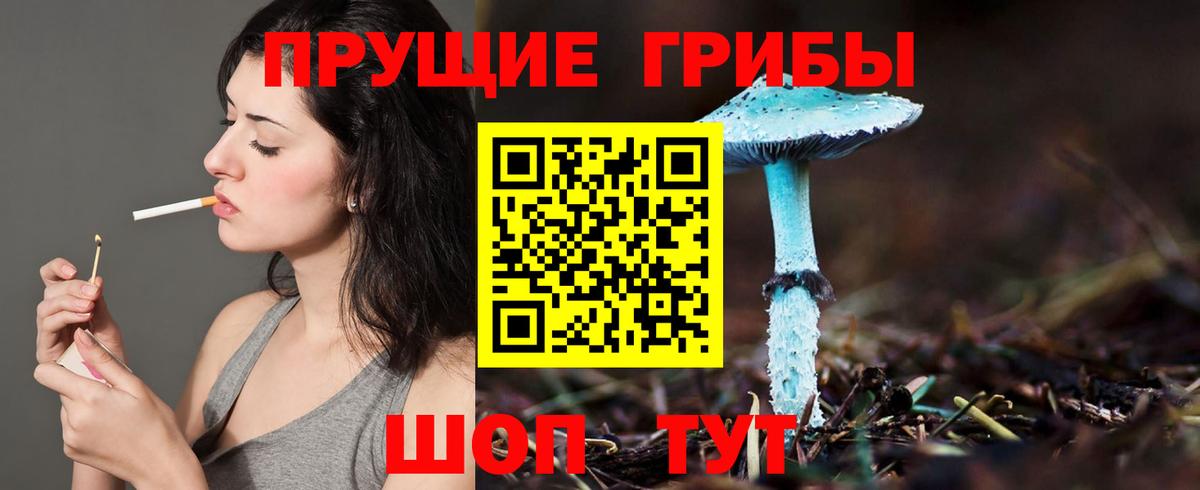 Псилоцибиновые грибы Psilocybine cubensis Лангепас