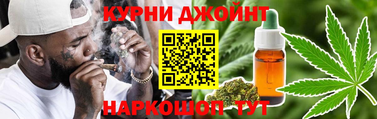 МАРИХУАНА сатива Лангепас